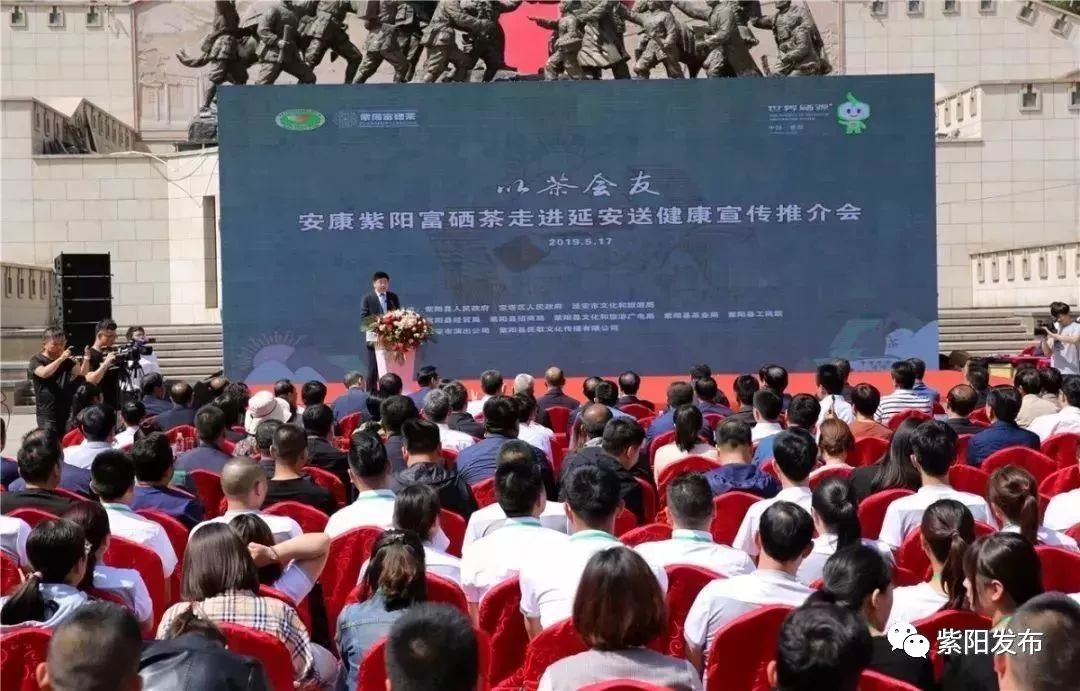 紫阳富硒茶翻译(紫阳茶富硒饮品价格)-硒宝网