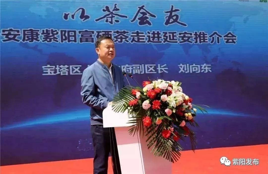 紫阳富硒茶翻译(紫阳茶富硒饮品价格)-硒宝网