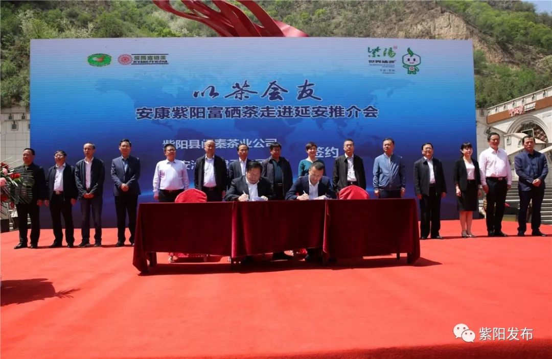 紫阳富硒茶翻译(紫阳茶富硒饮品价格)-硒宝网