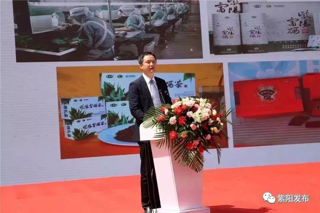 紫阳富硒茶翻译(紫阳茶富硒饮品价格)-硒宝网