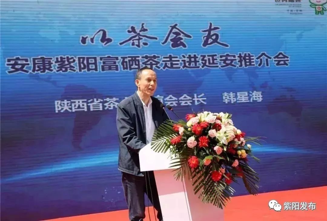 紫阳富硒茶翻译(紫阳茶富硒饮品价格)-硒宝网