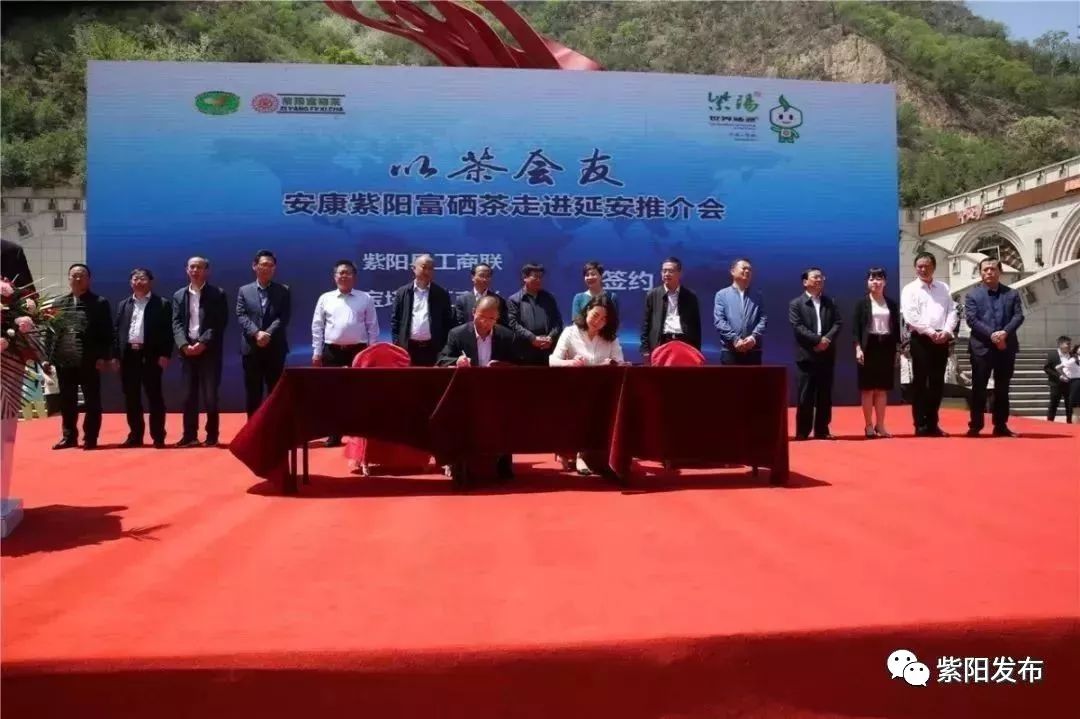 紫阳富硒茶翻译(紫阳茶富硒饮品价格)-硒宝网