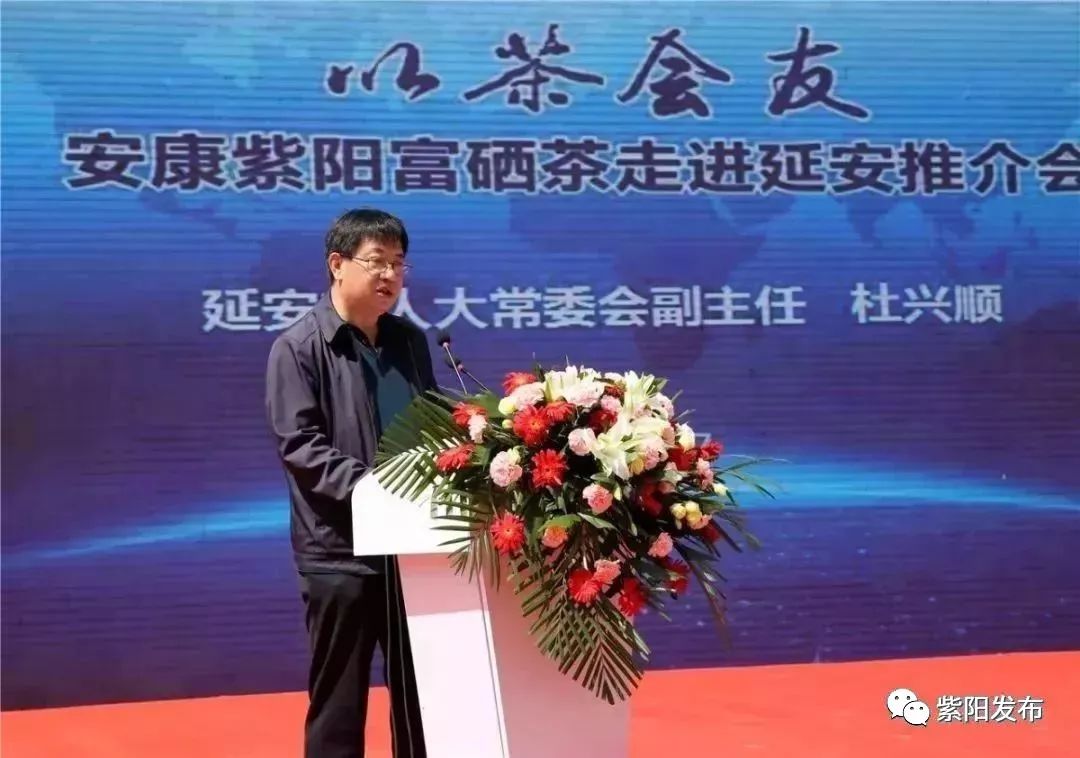 紫阳富硒茶翻译(紫阳茶富硒饮品价格)-硒宝网