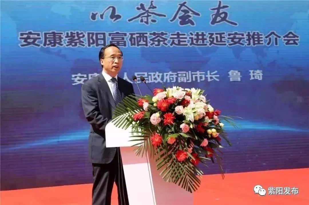 紫阳富硒茶翻译(紫阳茶富硒饮品价格)-硒宝网