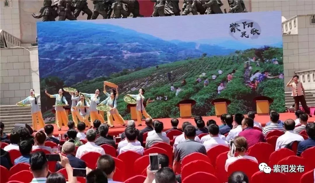 紫阳富硒茶翻译(紫阳茶富硒饮品价格)-硒宝网