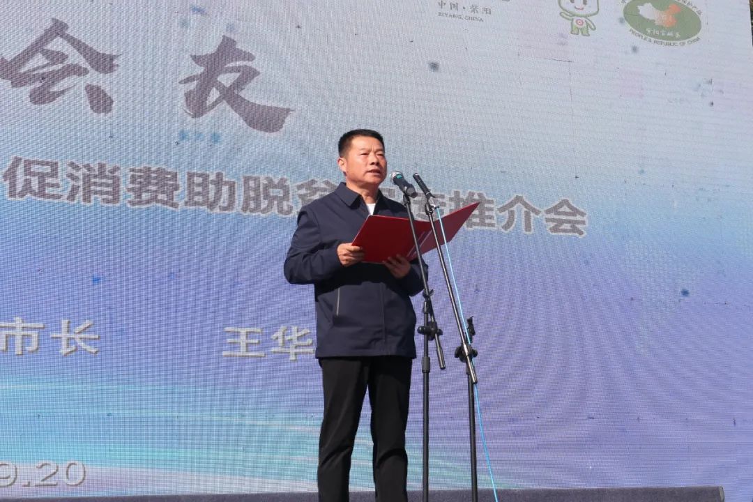 紫阳嫩芽富硒茶（富硒紫阳茶多少钱一斤）-硒宝网