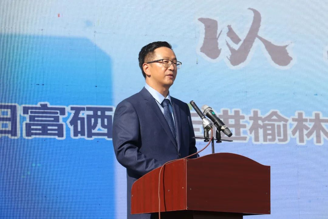 紫阳嫩芽富硒茶（富硒紫阳茶多少钱一斤）-硒宝网