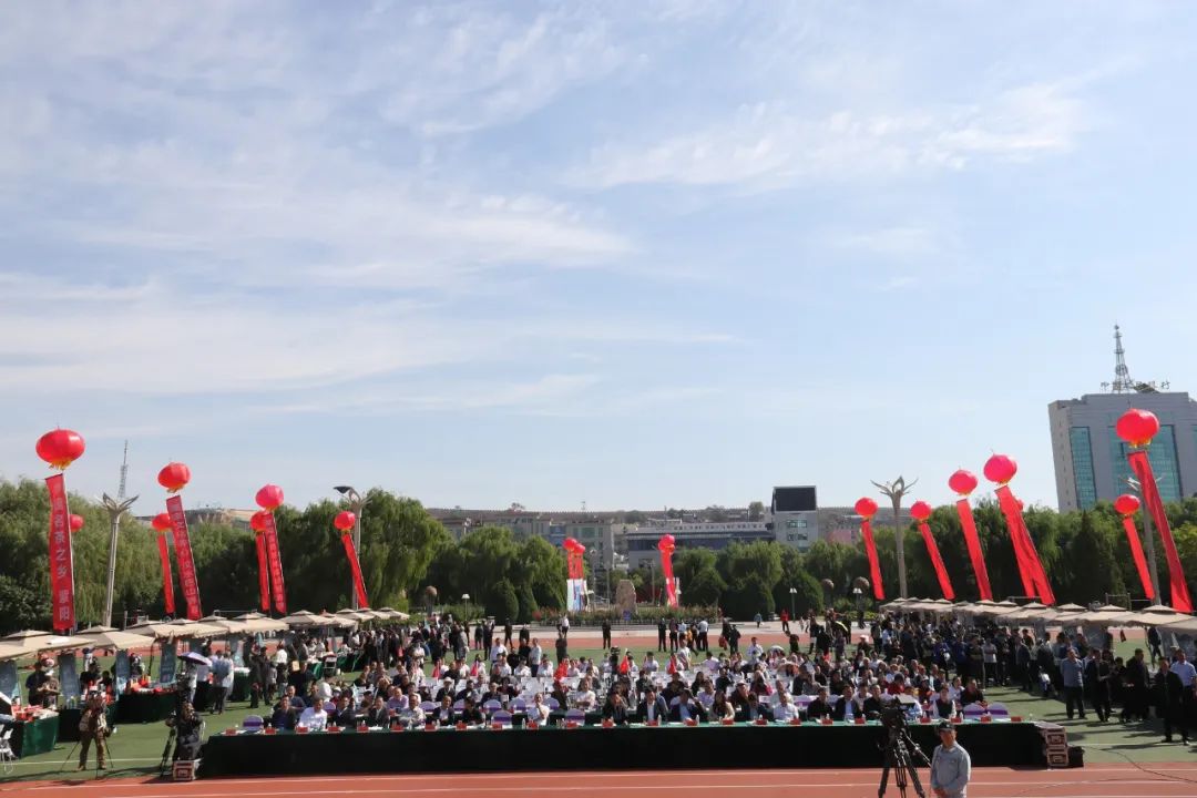 紫阳嫩芽富硒茶（富硒紫阳茶多少钱一斤）-硒宝网