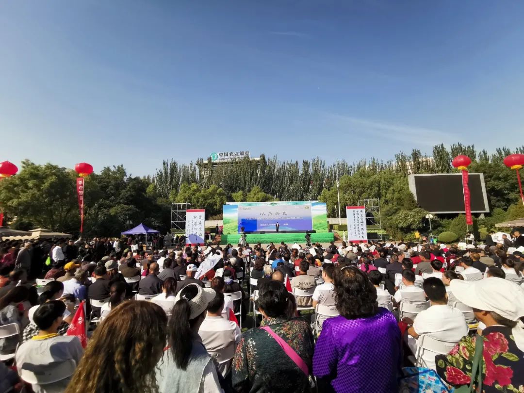 紫阳嫩芽富硒茶（富硒紫阳茶多少钱一斤）-硒宝网