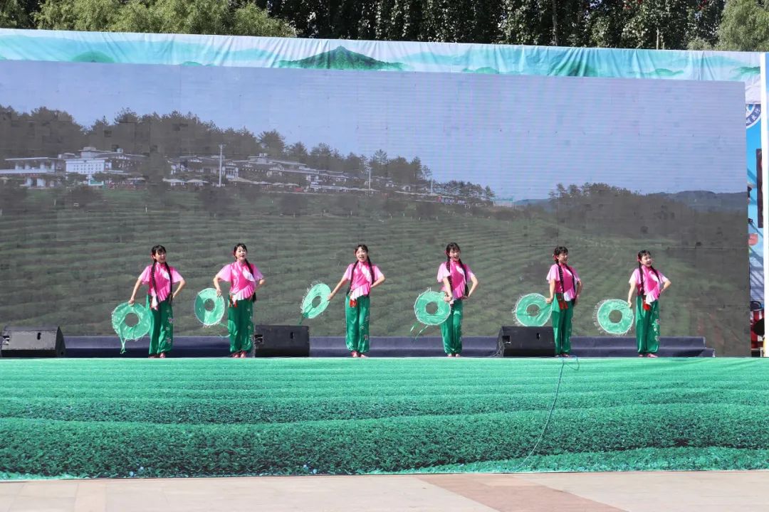 紫阳嫩芽富硒茶（富硒紫阳茶多少钱一斤）-硒宝网