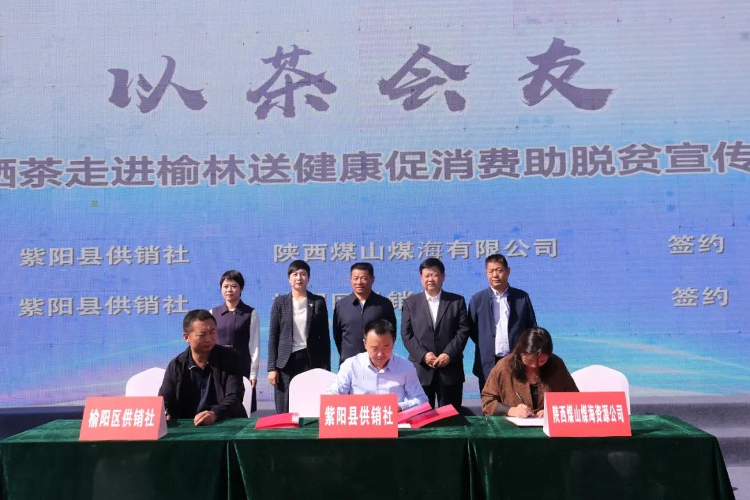 紫阳嫩芽富硒茶（富硒紫阳茶多少钱一斤）-硒宝网