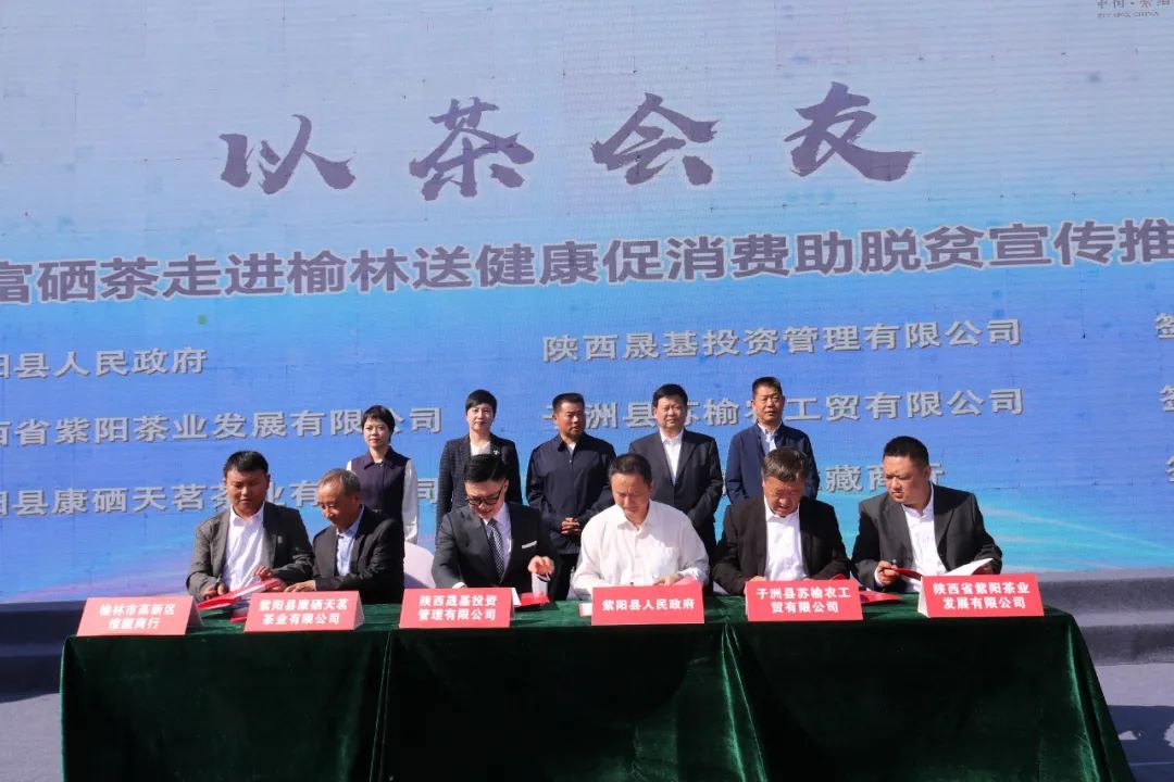 紫阳嫩芽富硒茶（富硒紫阳茶多少钱一斤）-硒宝网