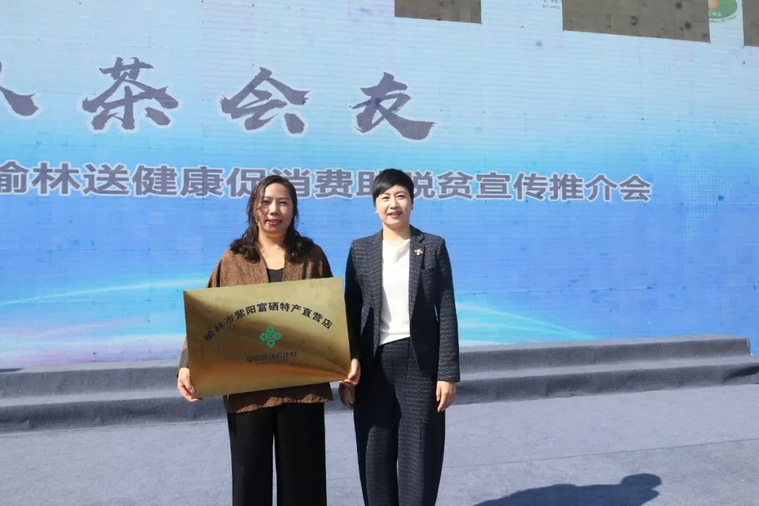 紫阳嫩芽富硒茶（富硒紫阳茶多少钱一斤）-硒宝网