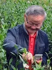 安康富硒茶之旅（安康富硒茶园）-硒宝网