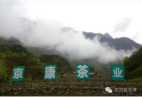 安康富硒茶之旅（安康富硒茶园）-硒宝网