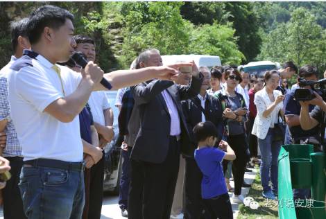 安康富硒茶之旅（安康富硒茶园）-硒宝网