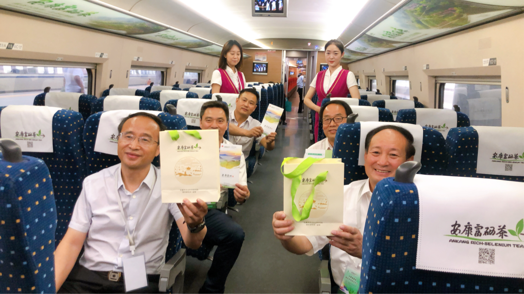 安康富硒茶之旅(安康富硒茶简介)-硒宝网