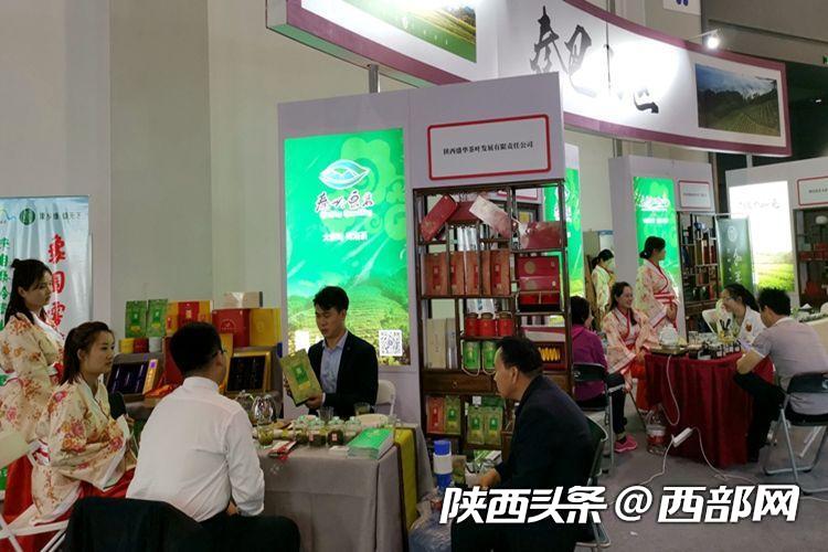 商洛富硒茶直播(陕西富硒茶多少钱一斤)-硒宝网