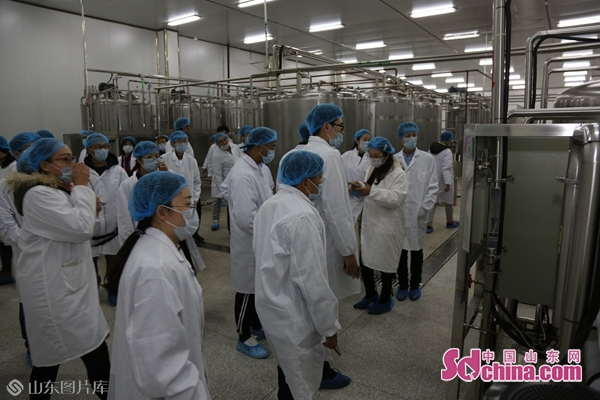 吴江富硒玫瑰茶(玫瑰茶价格)-硒宝网