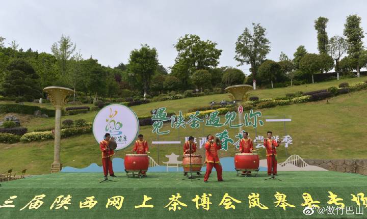 陕西银针富硒茶(陕西茶银针富硒产地)-硒宝网