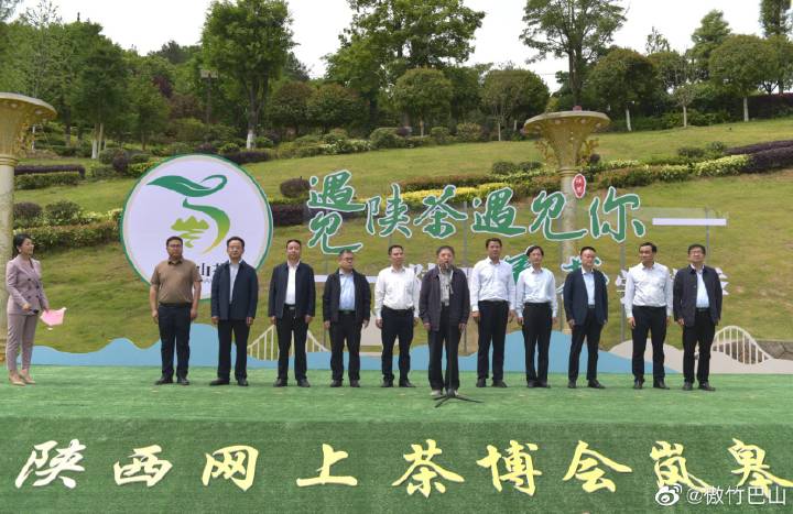 陕西银针富硒茶(陕西茶银针富硒产地)-硒宝网