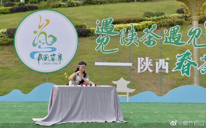 陕西银针富硒茶(陕西茶银针富硒产地)-硒宝网