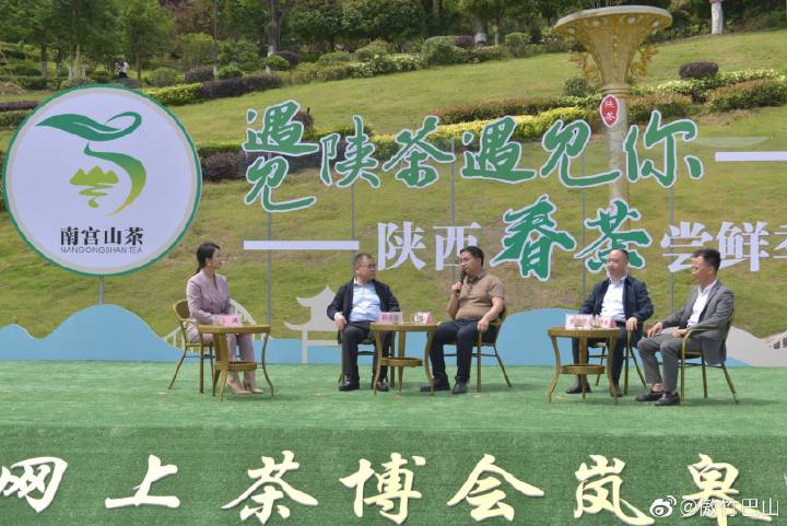 陕西银针富硒茶(陕西茶银针富硒产地)-硒宝网