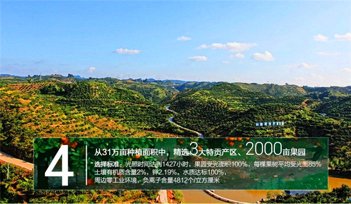 安康富硒茶广告（安康富硒茶多少钱一斤汗水晨雾）-硒宝网