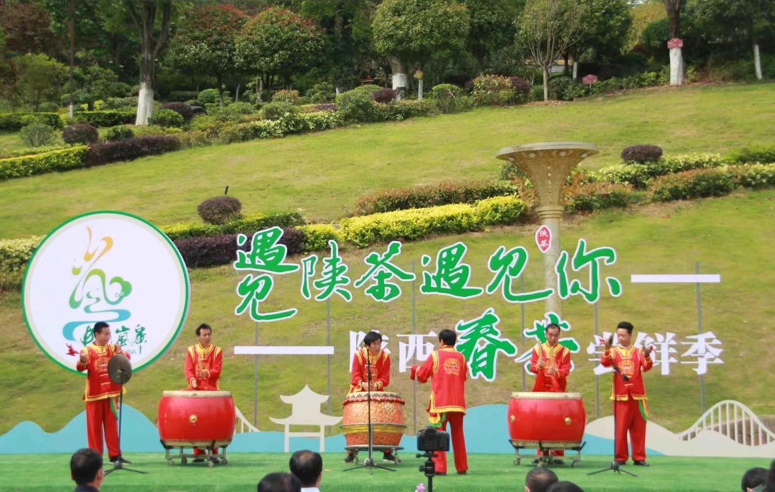 陕西银针富硒茶(陕西富硒茶多少钱一斤)-硒宝网