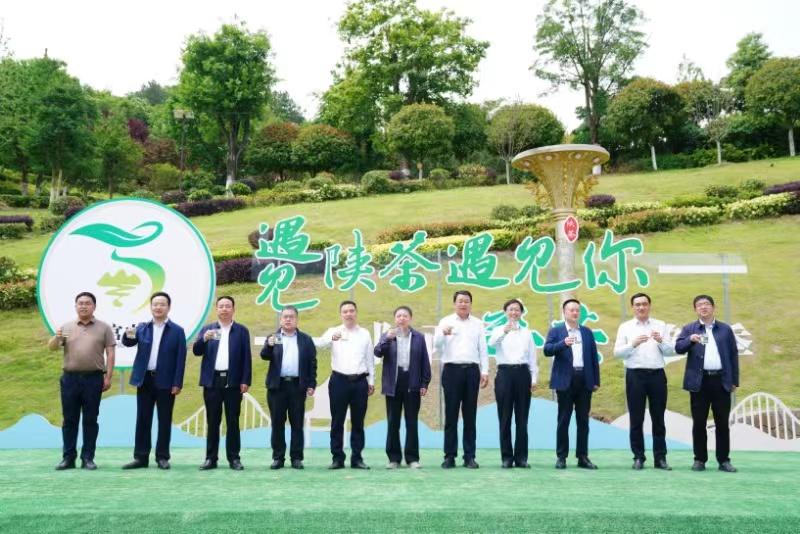 陕西银针富硒茶(陕西富硒茶多少钱一斤)-硒宝网