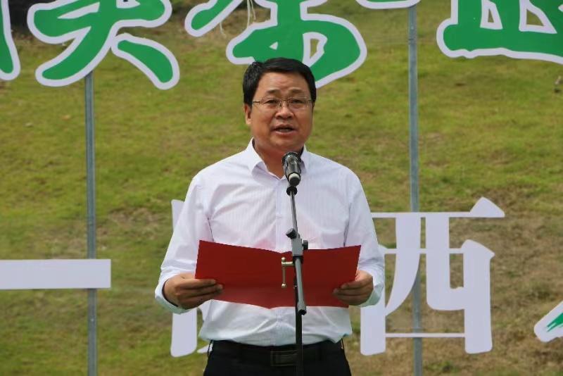 陕西银针富硒茶(陕西富硒茶多少钱一斤)-硒宝网