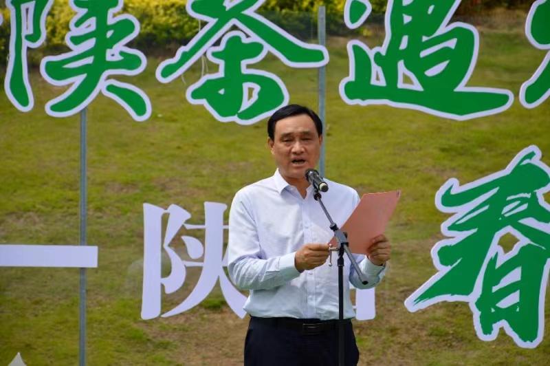 陕西银针富硒茶(陕西富硒茶多少钱一斤)-硒宝网