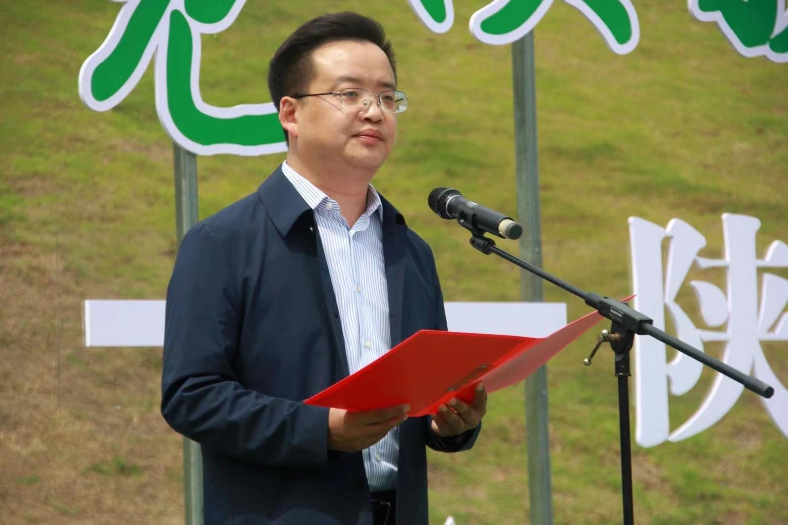 陕西银针富硒茶(陕西富硒茶多少钱一斤)-硒宝网