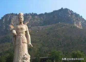 安康富硒茶贡品（安康富硒茶礼盒）-硒宝网