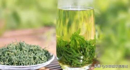 安康富硒茶贡品（安康富硒茶礼盒）-硒宝网