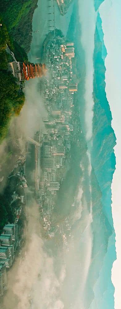 陕西银针富硒茶(安康紫阳富硒茶银针多少钱一斤)-硒宝网