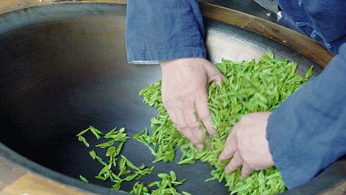 陕西银针富硒茶(安康紫阳富硒茶银针多少钱一斤)-硒宝网