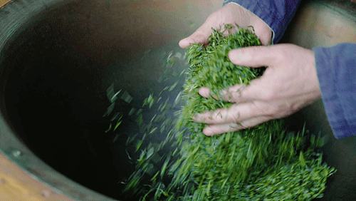 陕西银针富硒茶(安康紫阳富硒茶银针多少钱一斤)-硒宝网