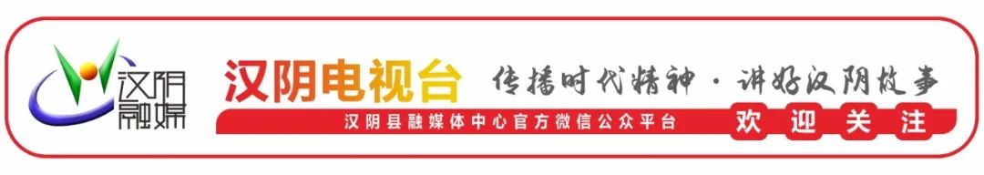 汉阴凤凰富硒茶（凤凰茶好不好）-硒宝网