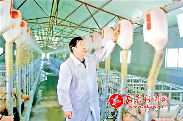 安康富硒茶发展(安康茶富硒发展现状)-硒宝网