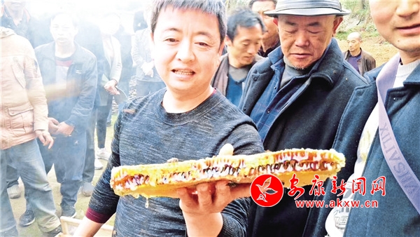 安康富硒茶发展(安康茶富硒发展现状)-硒宝网