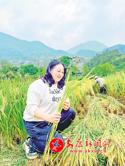 安康富硒茶发展(安康茶富硒发展现状)-硒宝网