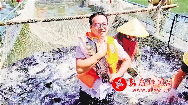 安康富硒茶发展(安康茶富硒发展现状)-硒宝网