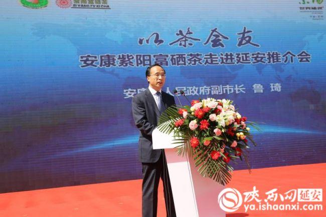 紫阳安康富硒茶（安康富硒茶主要产自哪里）-硒宝网