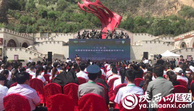 紫阳安康富硒茶（安康富硒茶主要产自哪里）-硒宝网