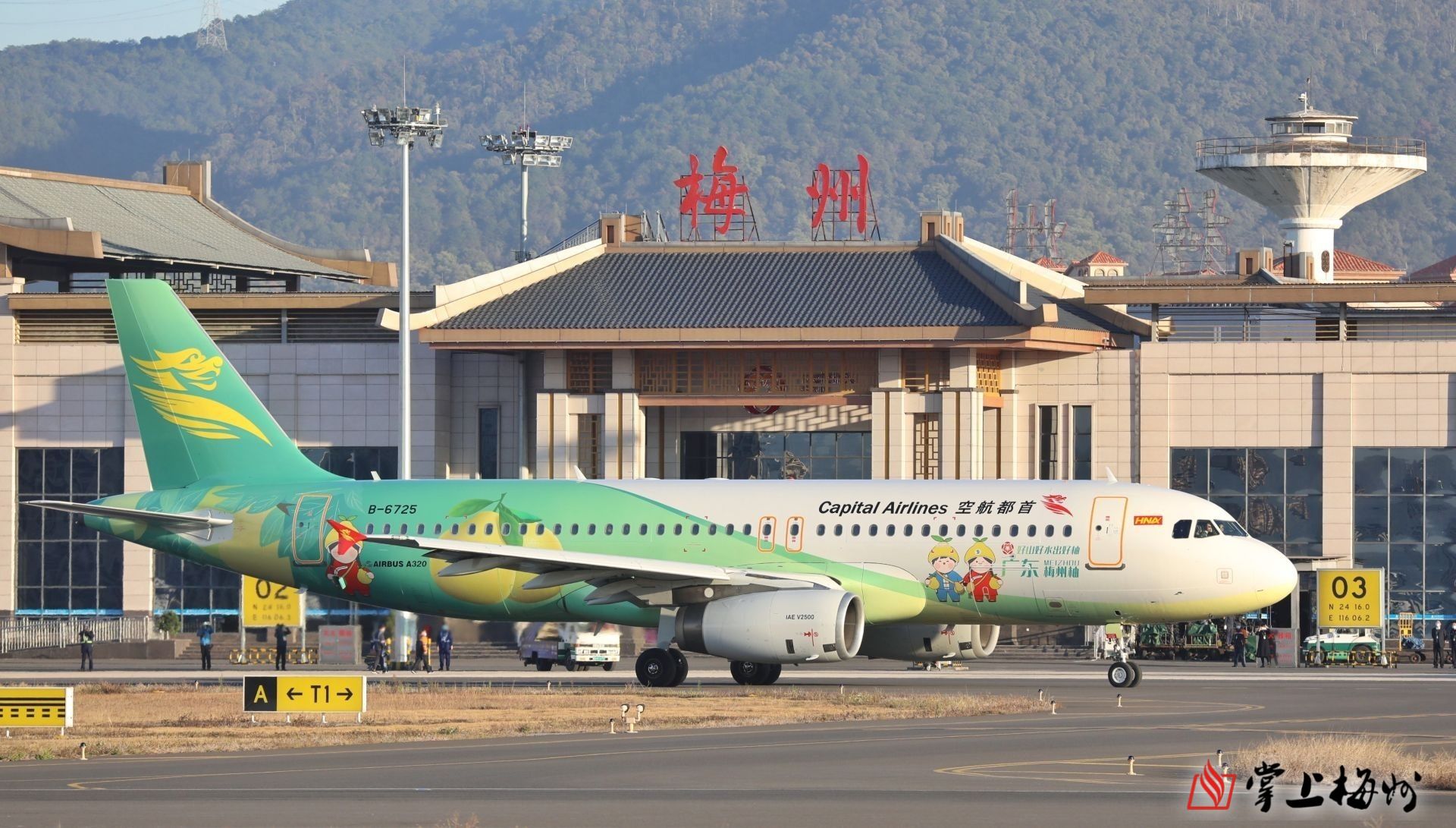 梅州富硒茶标准（富硒茶国家标准）-硒宝网