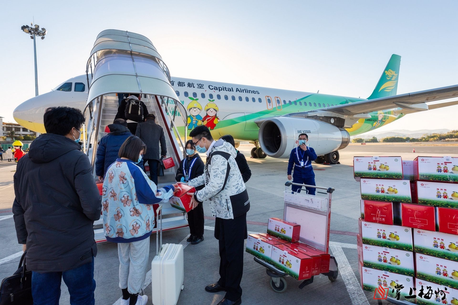 梅州富硒茶标准（富硒茶国家标准）-硒宝网