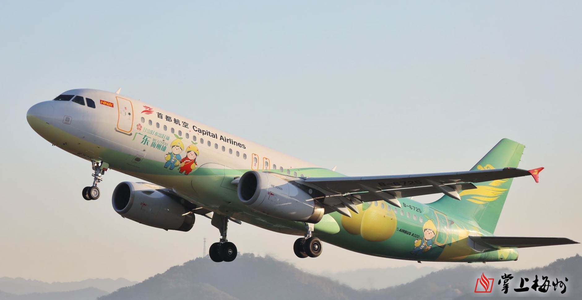 梅州富硒茶标准（富硒茶国家标准）-硒宝网