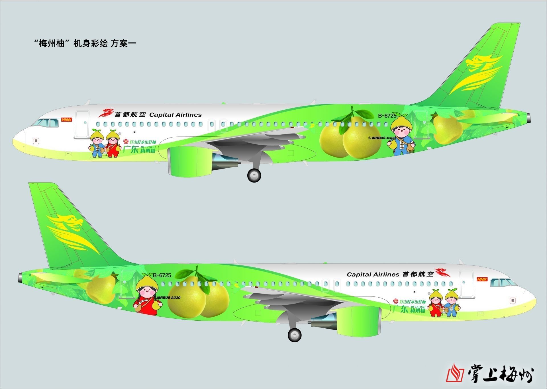 梅州富硒茶标准（富硒茶国家标准）-硒宝网