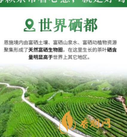 富硒茶怎么选择(富硒茶硒含量的标准)-硒宝网